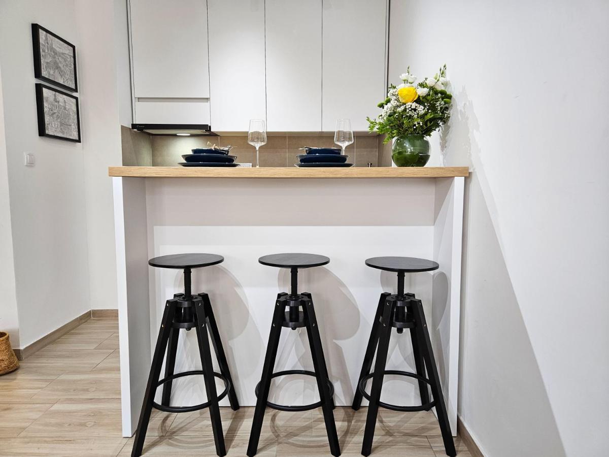 Roman Apartman 스렘스카 미트로비차 외부 사진