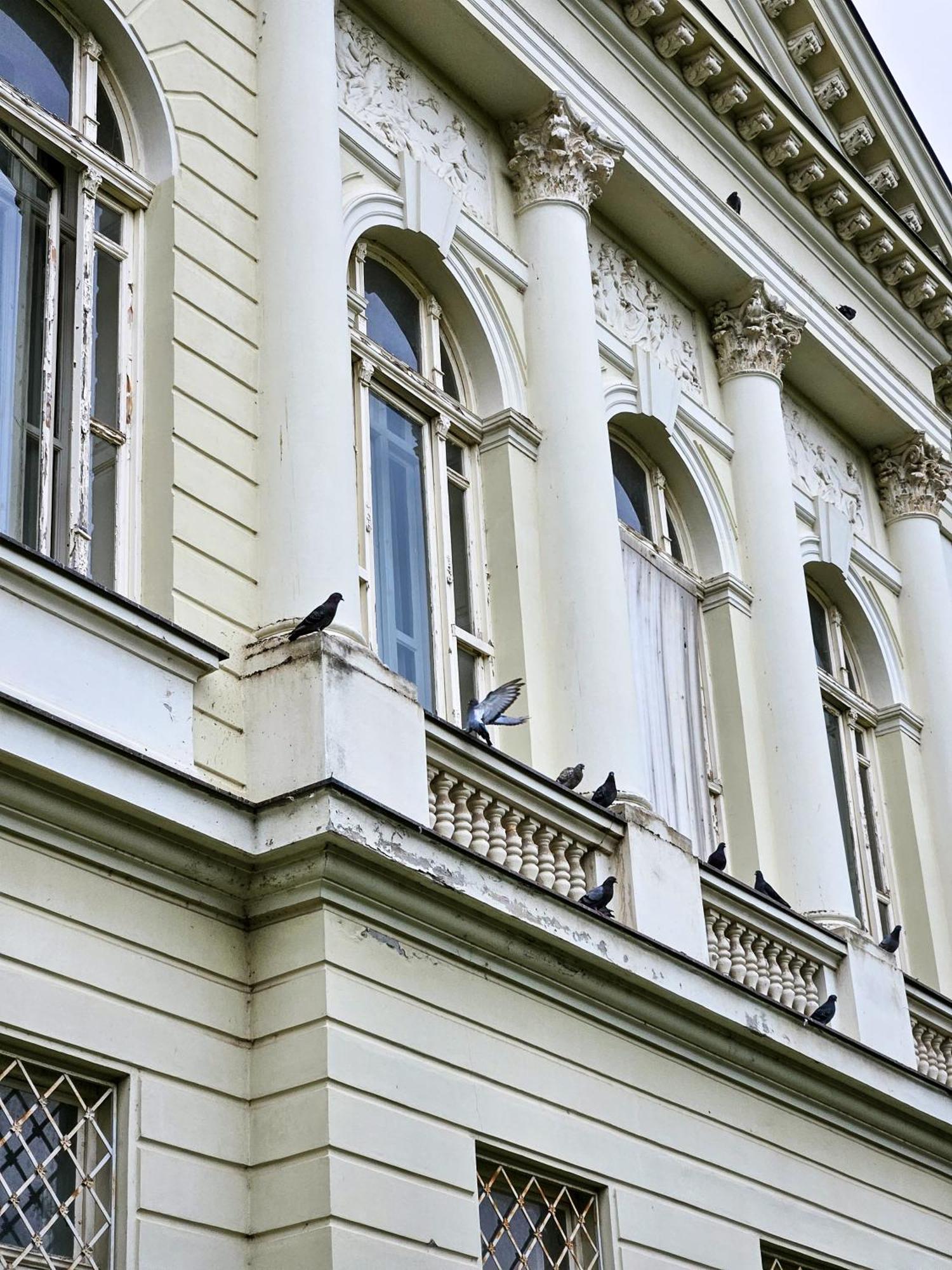 Roman Apartman 스렘스카 미트로비차 외부 사진